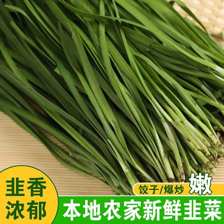 韭菜